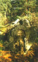 CUEVA ANDRÉS